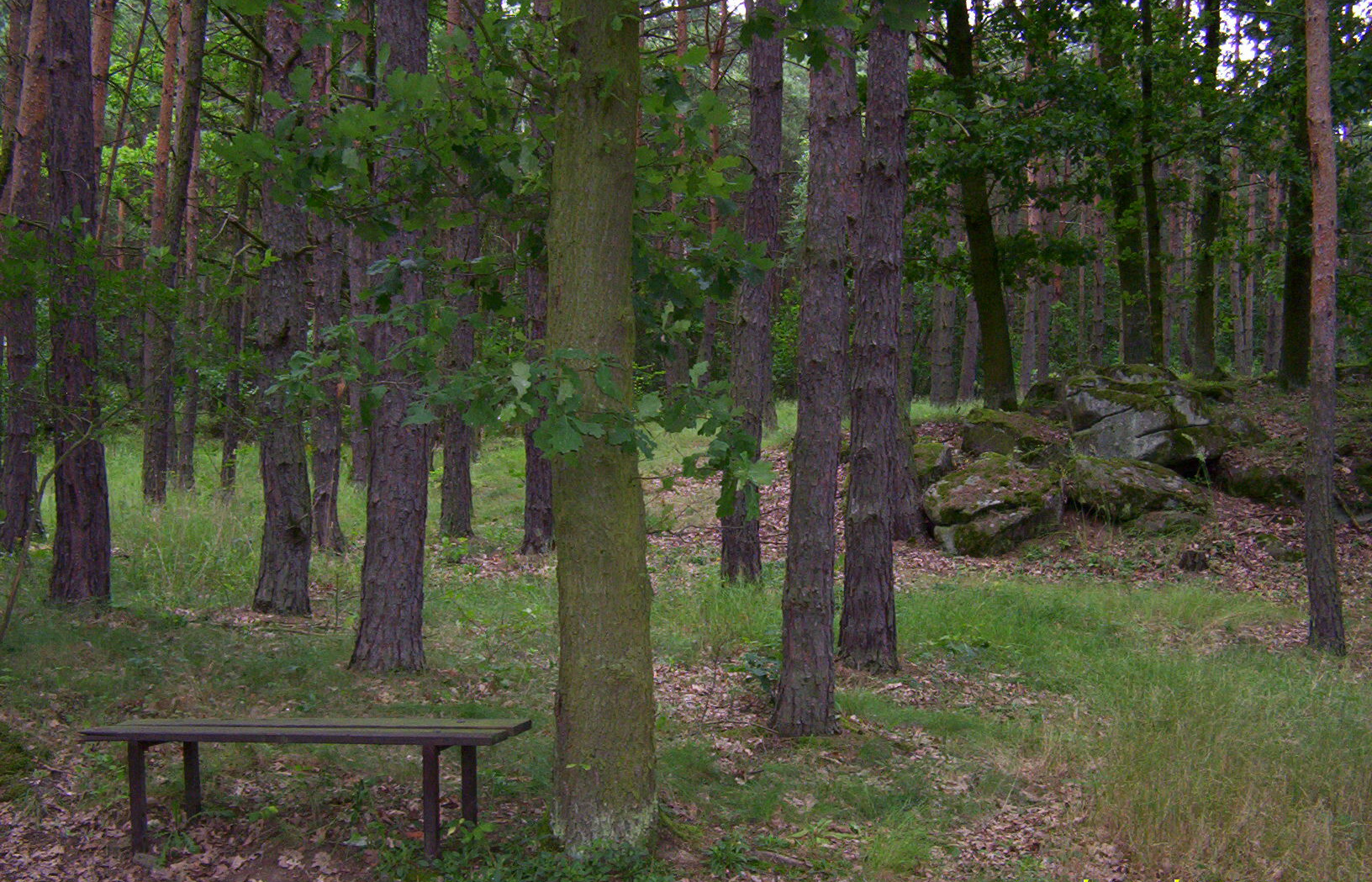 100_2168.jpg