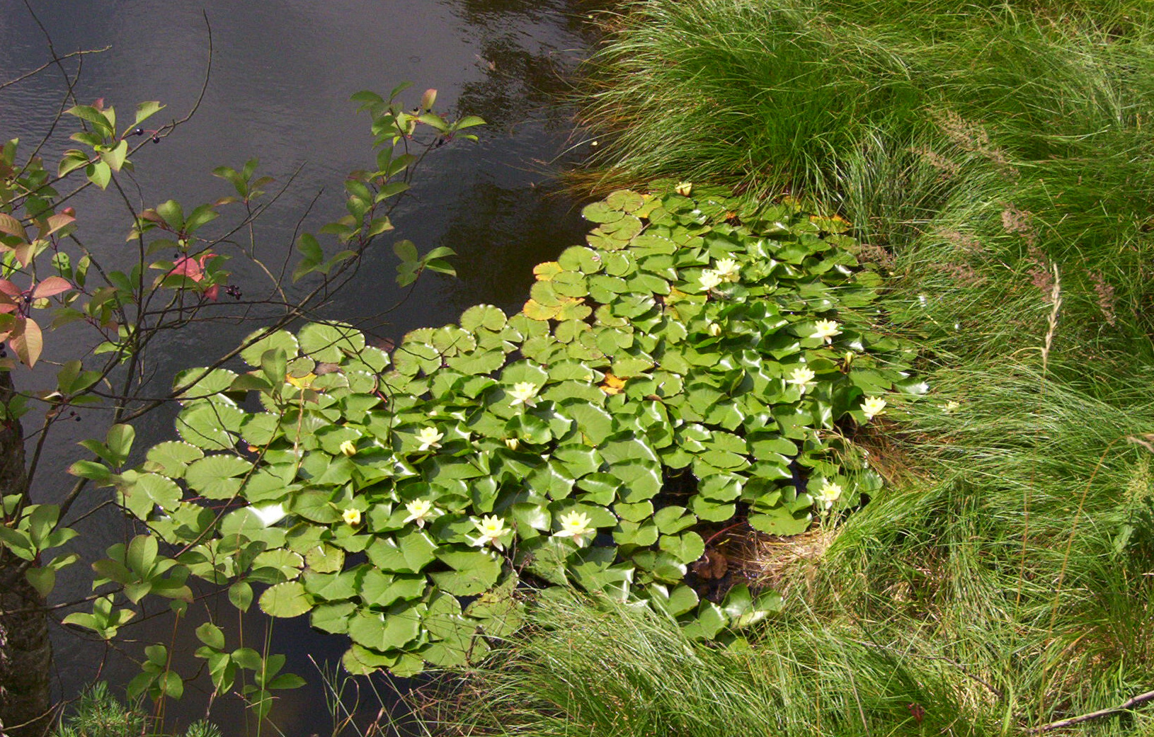100_2180.jpg