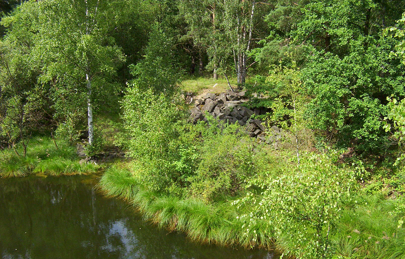 100_2184.jpg